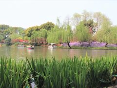 -圩墩遗址公园