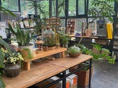 -北马山庄植趣咖啡