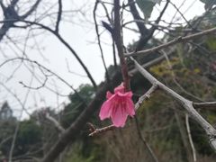 -火炉山森林公园