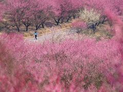 -青山湖景区
