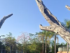 -珠海海泉湾神秘岛亲子乐园