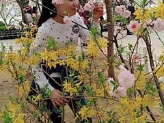 -福地凰城酒店