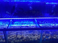 -海吃海喝海鲜烤肉炭火主题自助餐(朝阳店)