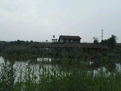 -白鹭湾湿地公园