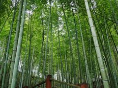 -赤水丹霞旅游区·大瀑布