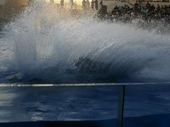 -上海海昌海洋公园
