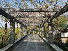 -龙寺生态园