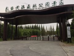 -黄海国家森林公园