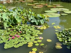 -国家植物园南园