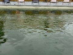 -DGE季风钓虾营地·团建·聚会