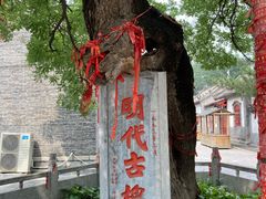 -杨家埠民间艺术大观园