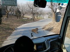 -西安秦岭野生动物园