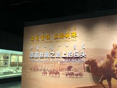 -包头博物馆