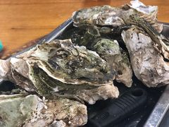 原只蒸生蚝-蚝得喜海鲜(东城店)