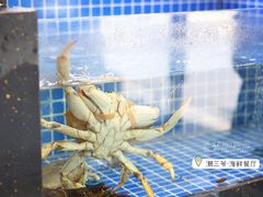 -潮三爷砂锅焗海鲜·生腌·海鲜粥(朝晖店)