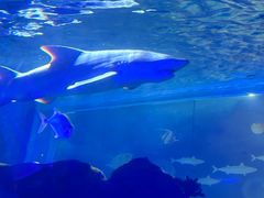 -常州海昌海洋探索馆
