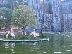 -贵州森林野生动物园