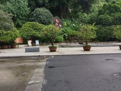 -乌山风景区