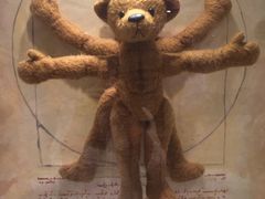 -济州岛泰迪熊博物馆