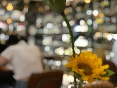 -Wine Universe 宇宙酒馆