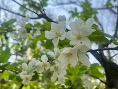 -元大都城垣遗址公园