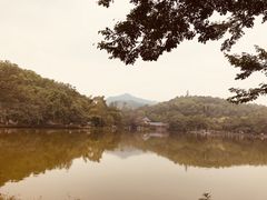 -孔雀园餐厅