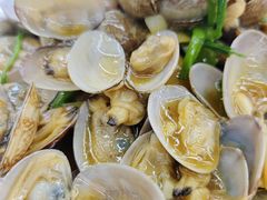 爆炒鲜花甲-海上渔村食府海鲜餐厅