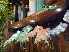 -宝鸡东道花鸟鱼虫市场(吉利花园商场店)