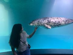 -青岛海底世界-水族馆
