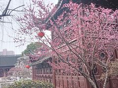 -檀园