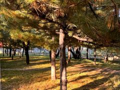 -森林公园(尖草坪区)