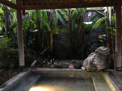 -和顺柏联温泉