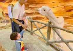 -酷嗒动物文化乐园(cutezoo西溪乐天城店)