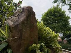 -火炉山森林公园