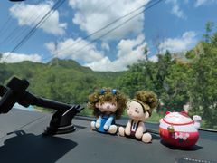 -大岭沟猕猴桃谷风景区
