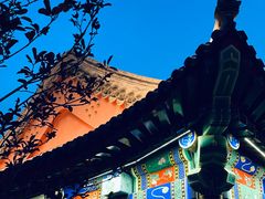 -西海子公园
