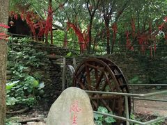 景点-紫云谷景区