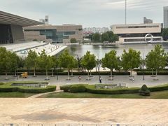 -羲和雅苑•北京烤鸭(乐园道万象城店)