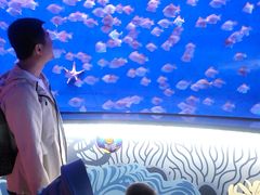 -沈阳海洋探索中心