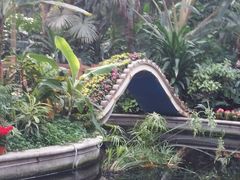 -北京植物园-展览温室
