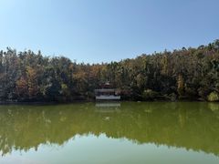 -润泽天·湘味家宴(岳麓山店)