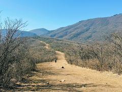 -安吉龙王山风景区