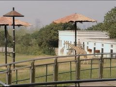 -合肥野生动物园