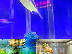 -太平洋海底世界