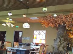-君邦火锅(新疆大厦店)