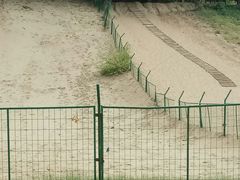 儿童滑沙滑草梯子-古柏渡飞黄旅游区