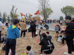 -铁山坪森林公园