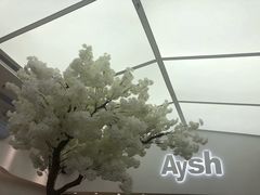 -艾薯夫妇Aysh(福田星河COCOPark店)