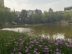 -西安市长乐公园