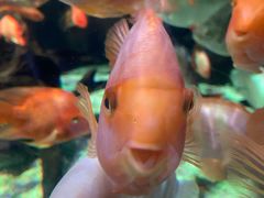 -太平洋海底世界